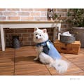 スカーフ付フリルカットソーブルー SDサイズ ペット服(犬の服)(販売終了)