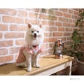 フラワー切替ワンピースピンク Lサイズ ペット服(犬の服)(販売終了)