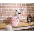 フラワー切替ワンピースピンク SDサイズ ペット服(犬の服)(販売終了)