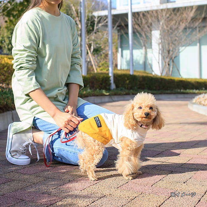 ウエストスピンドルカットソー イエロー SSサイズ ペット服(犬の服)(販売終了)