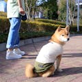 ウエストスピンドルカットソー カーキ Mサイズ ペット服(犬の服)(販売終了)