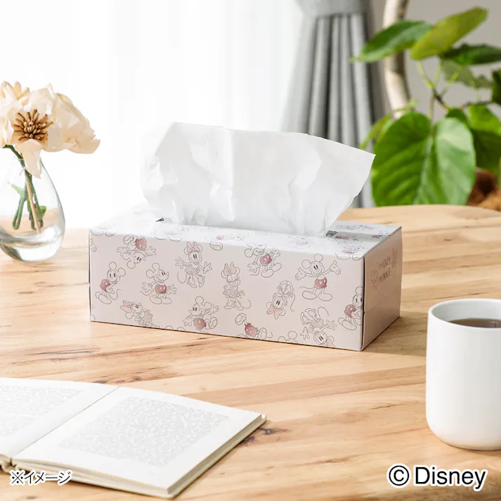 カインズ ディズニー ティシューボックス 160組×3個パック