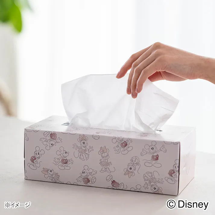 カインズ ディズニー ティシューボックス 160組×3個パック