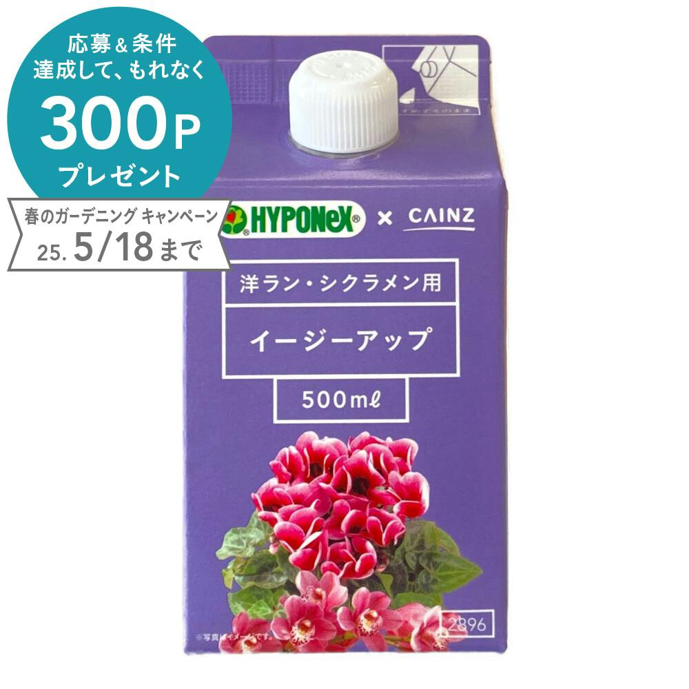 【CAINZ-DASH】トラスコ中山 六角穴付止めねじ ステンレス Ｍ１２×１５ １０本入 B45-1215【別送品】 | 金物・建築資材 通販 |  ホームセンターのカインズ