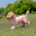 オールインワン SCORON素材使用 ピンク SSサイズ ペット服(犬の服)(販売終了)