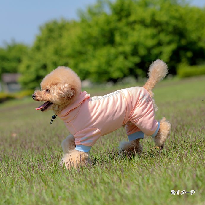 【2022春夏】オールインワン SCORON®素材使用 ピンク Lサイズ ペット服(犬の服)