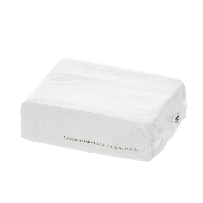 カインズ やわらかふわふわソフトパックティシュー コンパクト 130組×10個パック