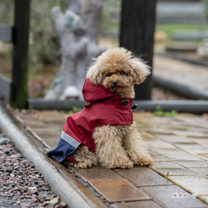 【送料無料】ポケッタブルレインポンチョ レッド Mサイズ ペット服(犬の服)