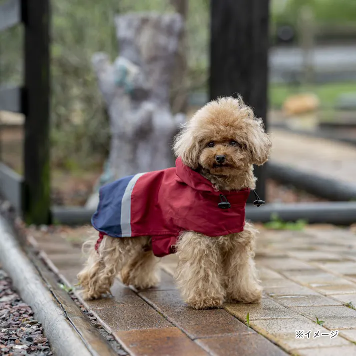 【送料無料】ポケッタブルレインポンチョ レッド Mサイズ ペット服(犬の服)