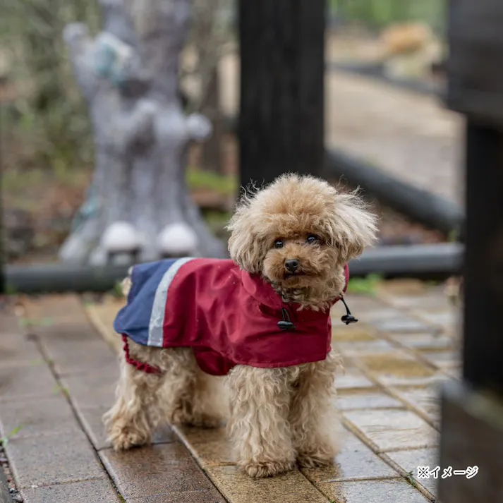 【送料無料】ポケッタブルレインポンチョ レッド Mサイズ ペット服(犬の服)