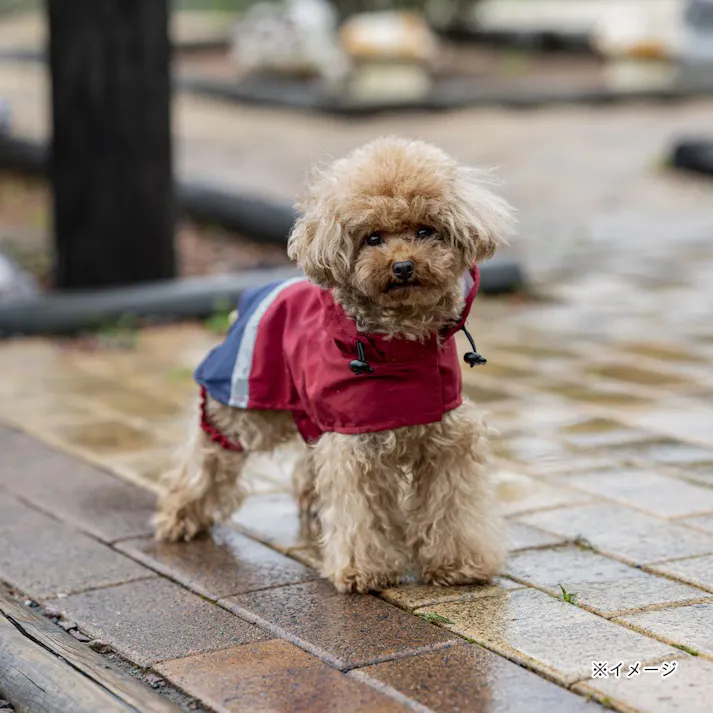【送料無料】ポケッタブルレインポンチョ レッド Mサイズ ペット服(犬の服)