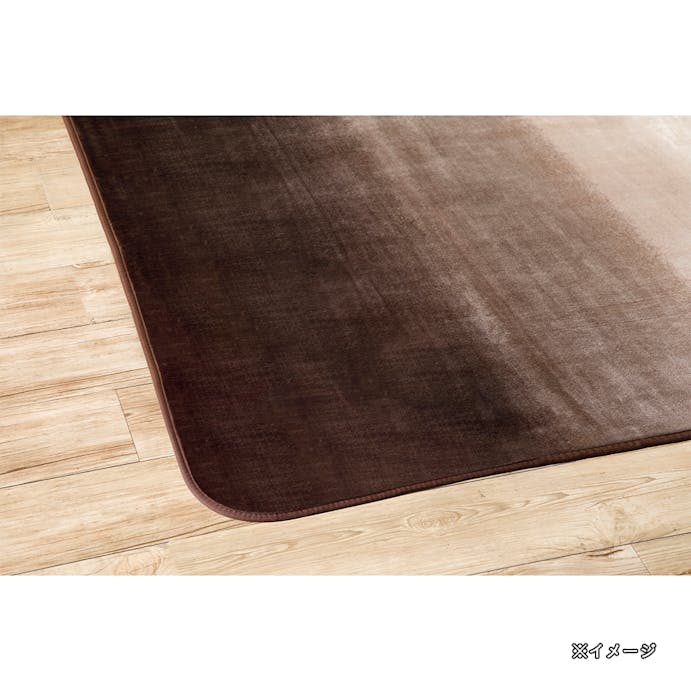 ラグ MIZUKUMO 楓ライン ブラウン 200×240cm(販売終了)