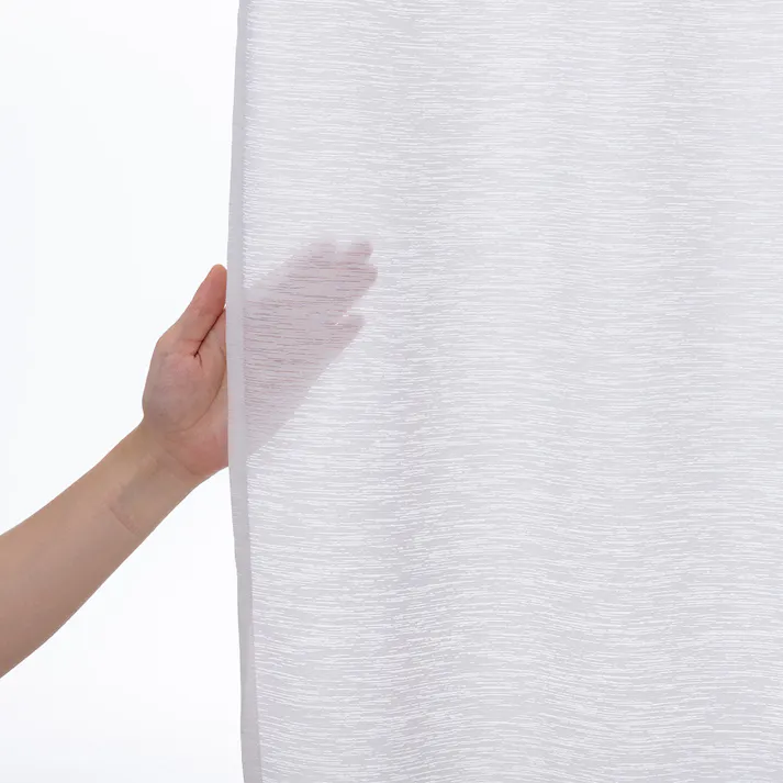 抗カビ・遮熱・遮像 エコクリン 100×198cm 2枚組 レースカーテン