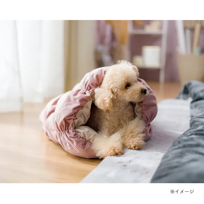 22秋冬 もこもこトンネル ピンク ペット用品 犬 ホームセンター通販 カインズ