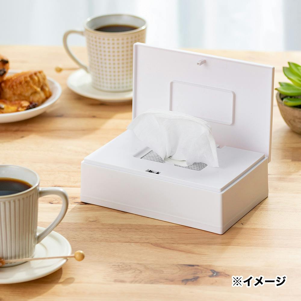 CAINZ 片手で開けられるウェットティシューケース 横型 | 紙製品