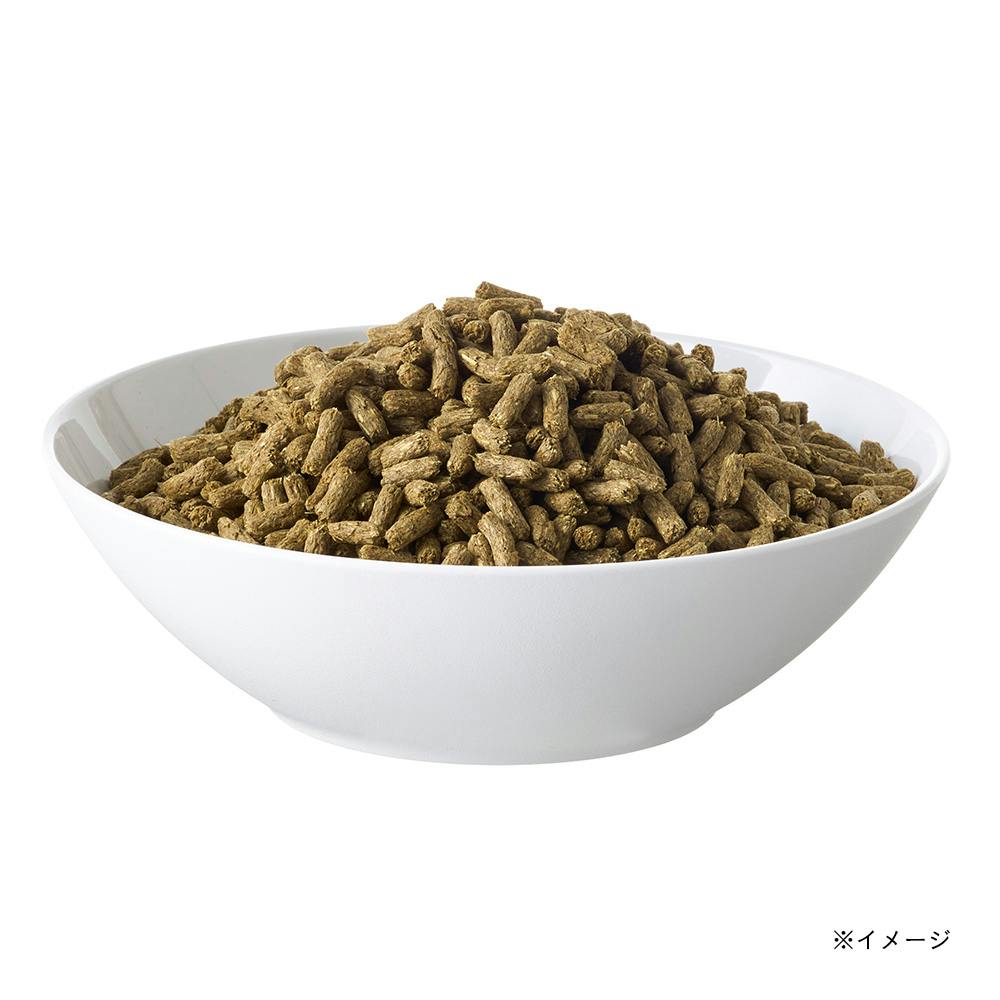 プレミアムラビットフード チモシー 1.5kg | ペット用品（小動物