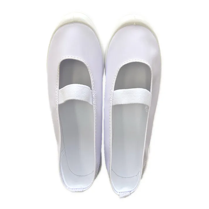 上履きシューズ 25cm