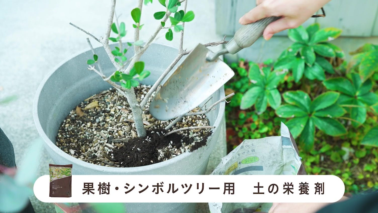 土の栄養剤 果樹・シンボルツリー用 1L | 用土・肥料 通販