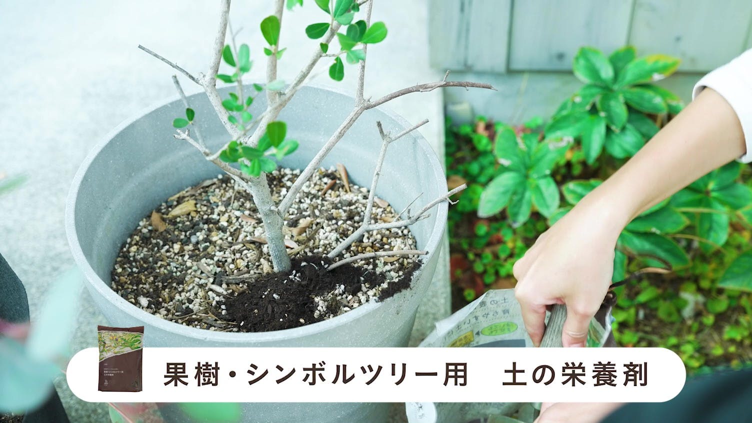 土の栄養剤 果樹・シンボルツリー用 5L | 用土・肥料 通販