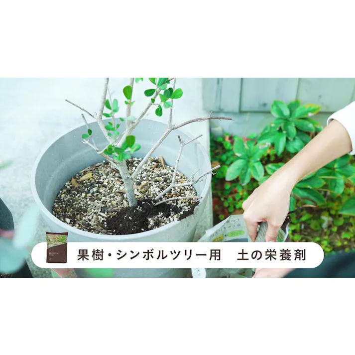 土の栄養剤 果樹・シンボルツリー用 5L