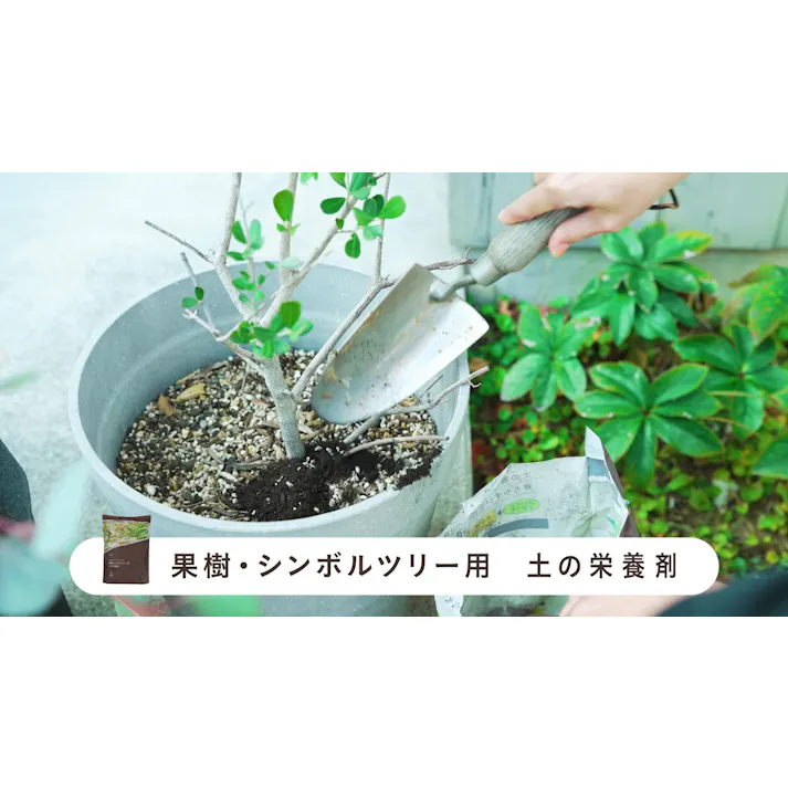 土の栄養剤 果樹・シンボルツリー用 5L