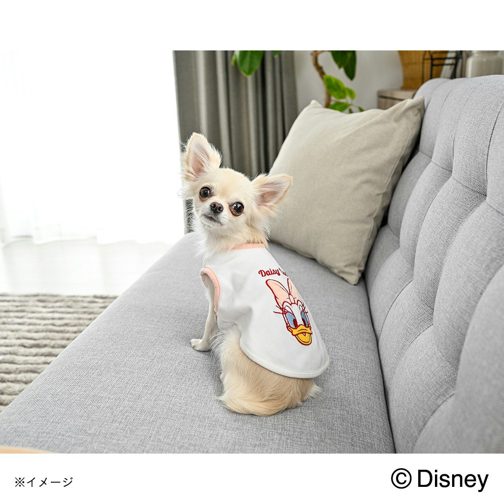 犬服 ペット Disney ヘンシン着ぐるみ サイズ2号 ドナルド デイジー