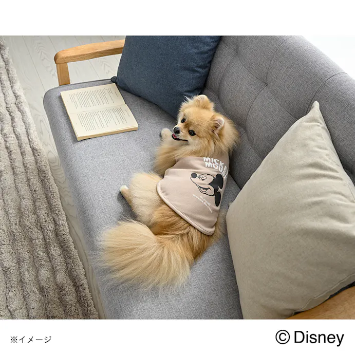 22秋冬 カットソー ミッキーマウス Ssサイズ ペット服 犬の服 ホームセンター通販 カインズ