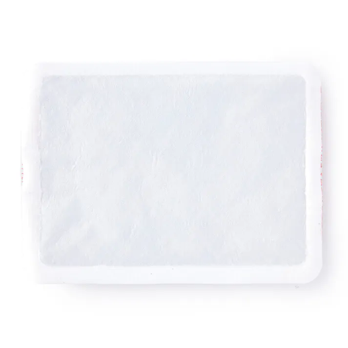 CAINZ 衣類に貼るカイロ レギュラー 10個入