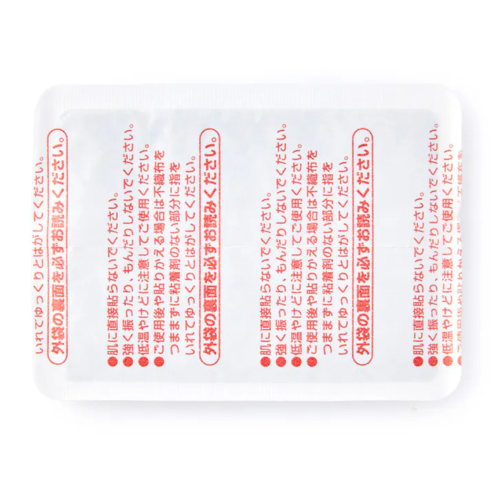 CAINZ 衣類に貼るカイロ レギュラー 10個入