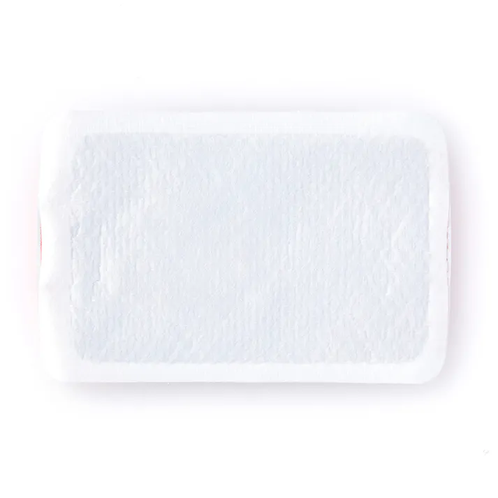 CAINZ 衣類に貼るカイロ ミニ 10個入