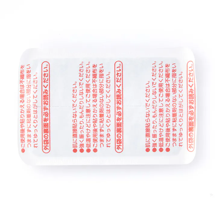 CAINZ 衣類に貼るカイロ ミニ 10個入