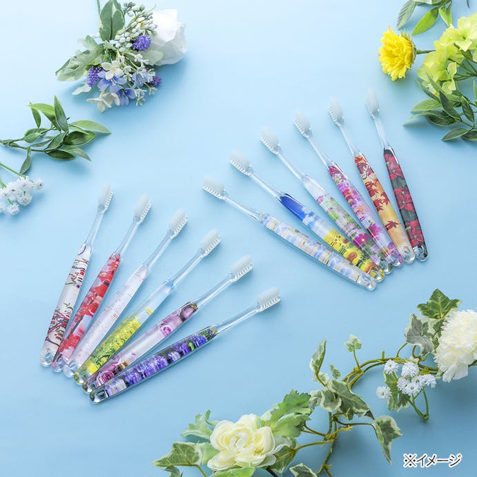 カインズ デザイン歯ブラシ 12本パック(季節の花)