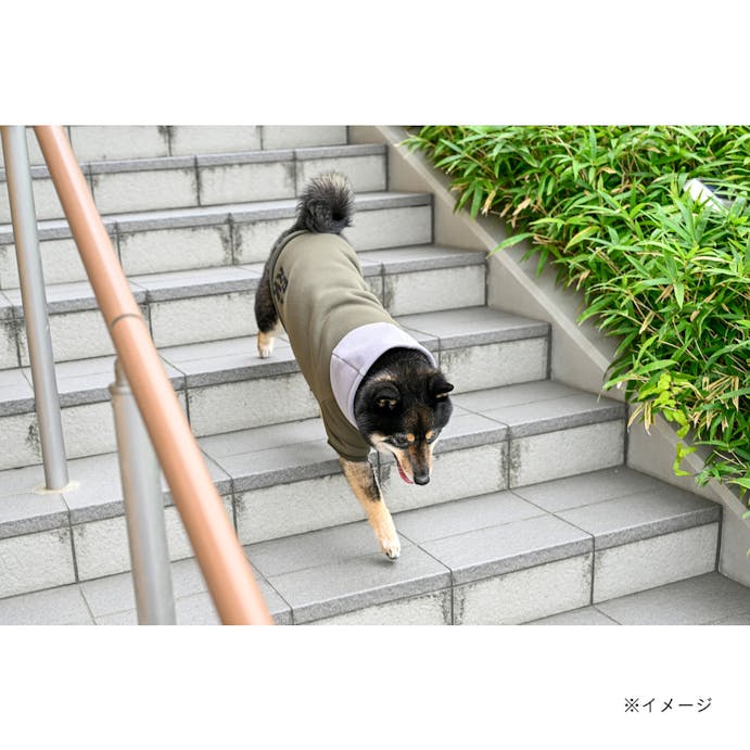 ビッグロゴパーカー カーキ SDサイズ ペット服(犬の服)(販売終了)