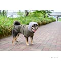 ビッグロゴパーカー カーキ 2Lサイズ ペット服(犬の服)(販売終了)