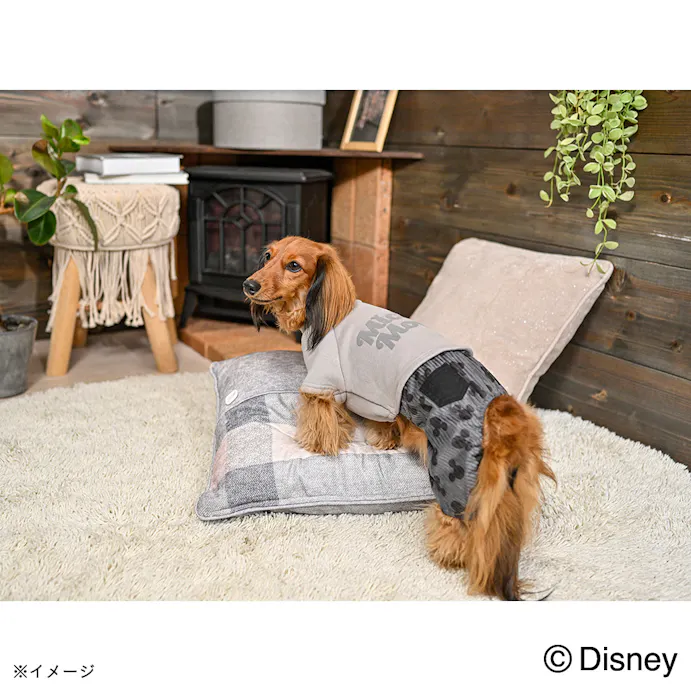 22秋冬 プリントパンツ付きトップス ミッキーマウス Ssサイズ ペット服 犬の服 ホームセンター通販 カインズ