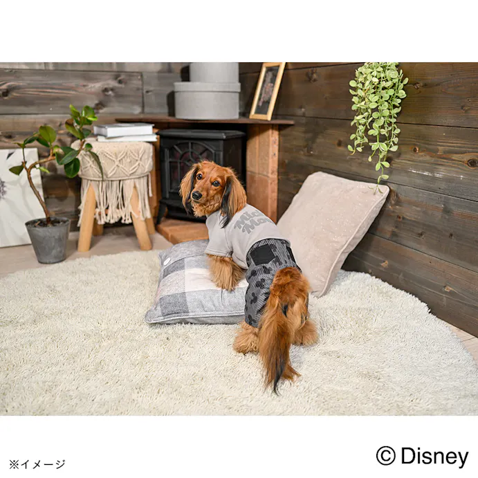 22秋冬 プリントパンツ付きトップス ミッキーマウス Sサイズ ペット服 犬の服 ホームセンター通販 カインズ