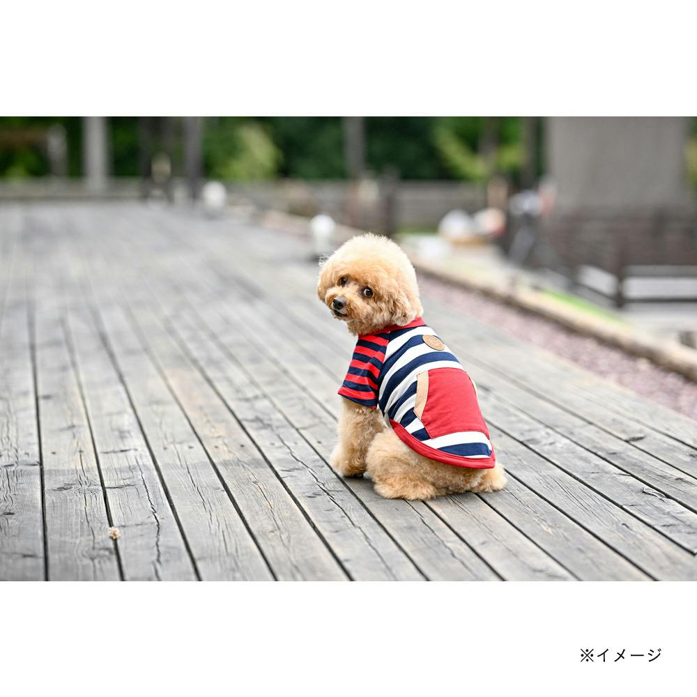 送料無料】Pet's One by BEAMS DESIGN クレイジーパターンカットソー