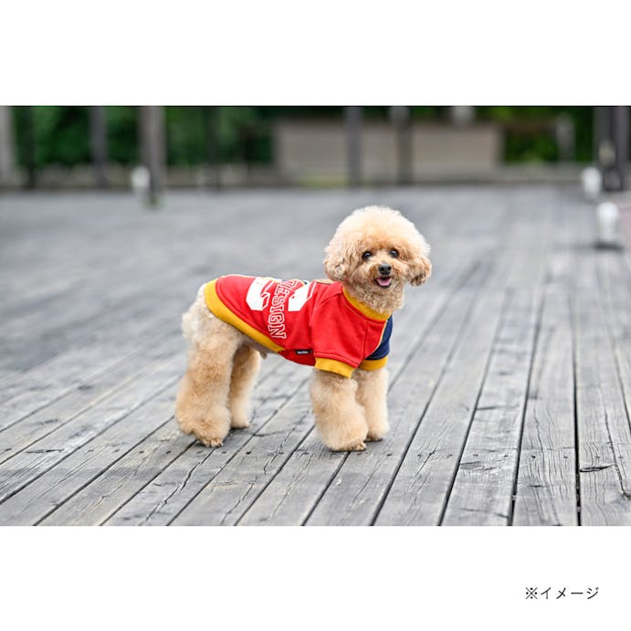 【2022秋冬】Pet’s One by BEAMS DESIGN カレッジリメイクスウェット ネイビー Mサイズ ペット服(犬の服)