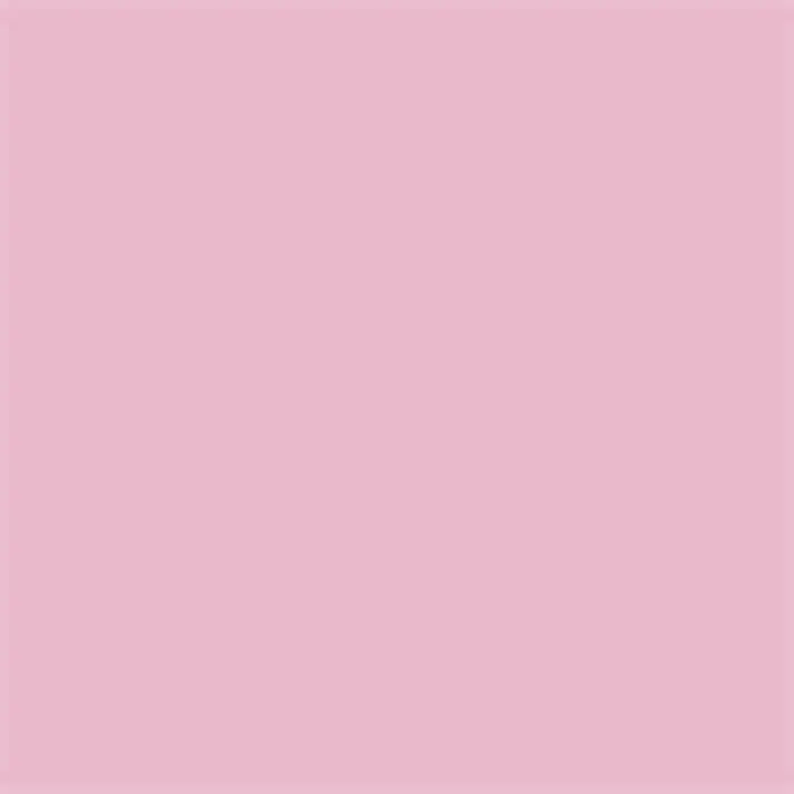 カインズ 室内用塗料 ホワイティカラーズ ペイントセット ドキドキピンク 4kg【別送品】