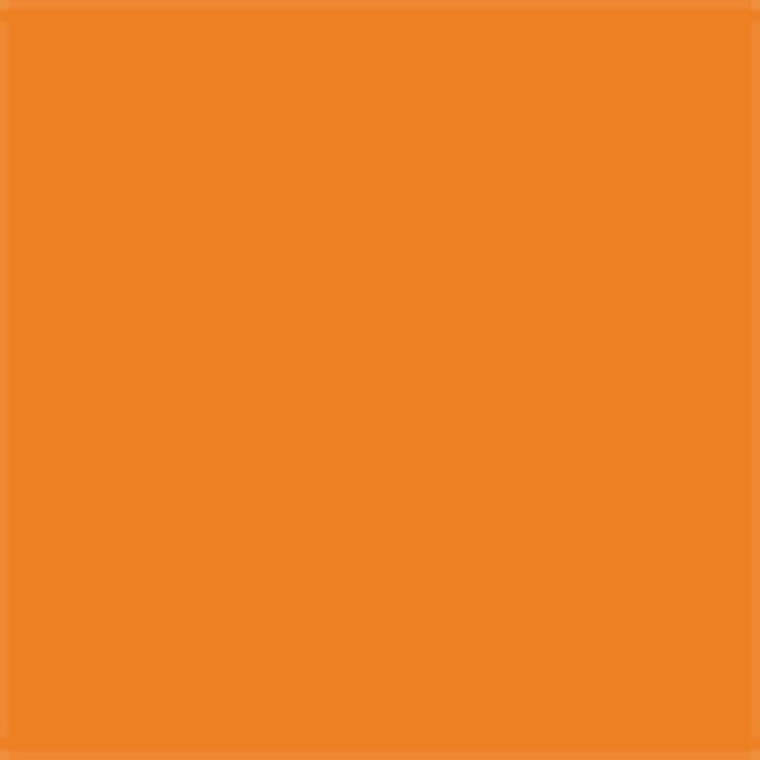 カインズ 室内用塗料 ホワイティカラーズ ペイントセット ワイワイオレンジ 4kg【別送品】