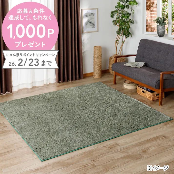 &Pet 洗えるシャギーラグ グリーン 190×240cm