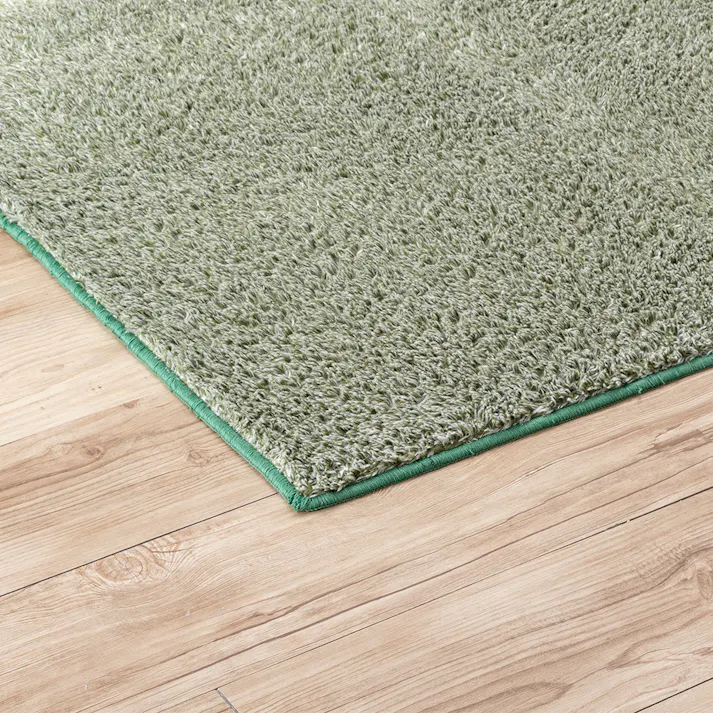 &Pet 洗えるシャギーラグ グリーン 190×240cm