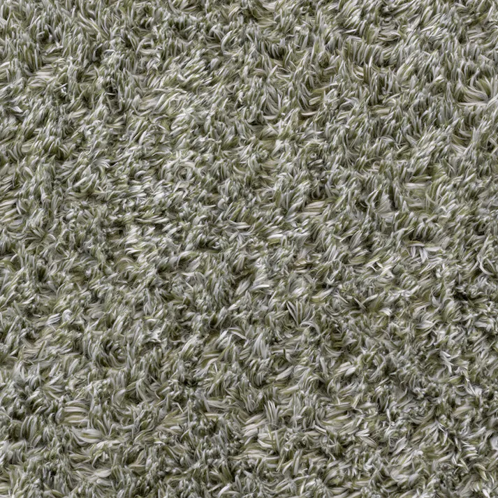 &Pet 洗えるシャギーラグ グリーン 190×240cm