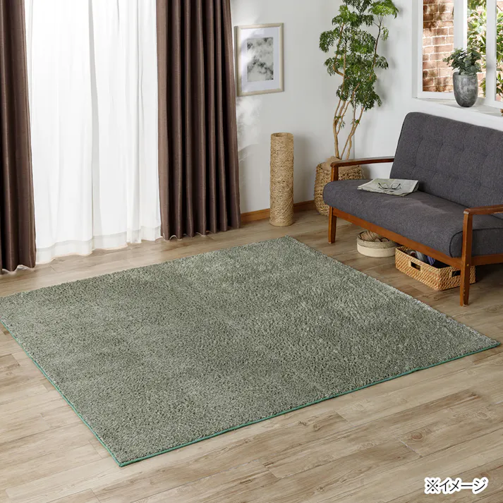 &Pet 洗えるシャギーラグ グリーン 190×240cm