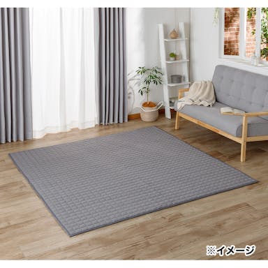 【2023春夏】＆Pet ウルトラデオクールラグ Pitapa グレー 190×240cm
