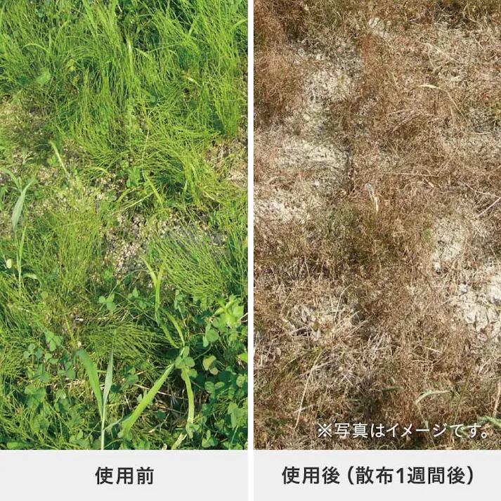 除草剤泡スプレー 1000ml 泡状液体 速効性 スギナ ドクダミ 雑草に噴霧