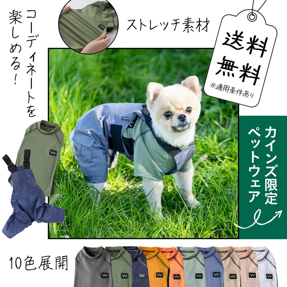 メッシュ切替ストレッチカットソー ピンク 2Lサイズ ペット服(犬の服)(販売終了) | ペット用品（犬） | ホームセンター通販【カインズ】