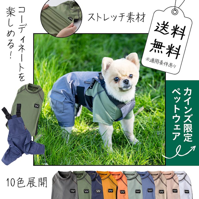 メッシュ切替ストレッチカットソー アッシュブルー 6Lサイズ ペット服(犬の服)(販売終了)