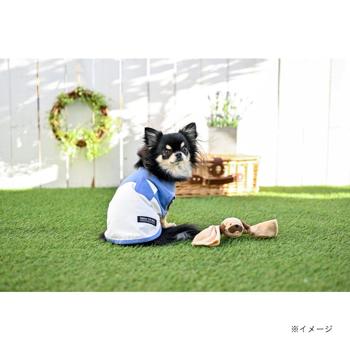 バイカラーカットソー ブルー MDサイズ ペット服(犬の服)