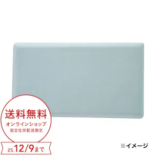 flatty専用カバー &Pet ミントグリーン 68×120cm※カバーのみ